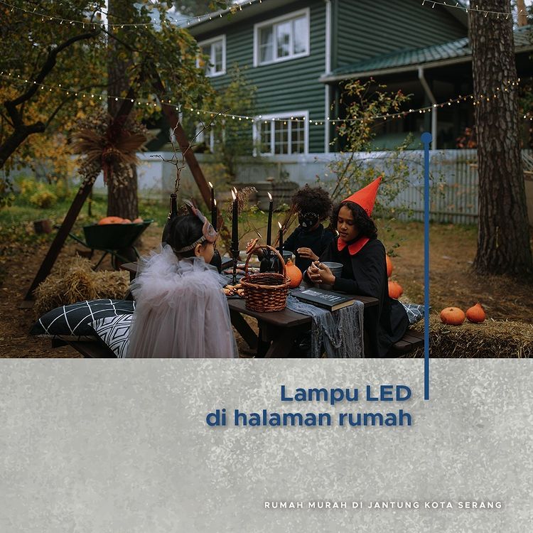 hiasan lampu led di taman rumah